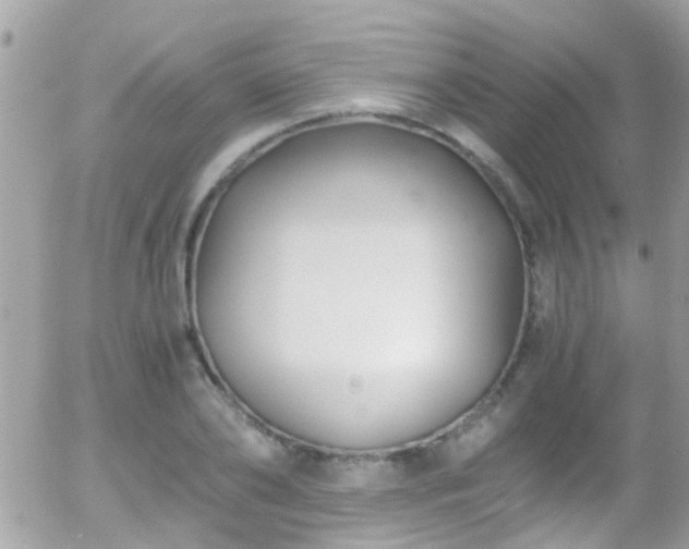 X0000055980886200508221158