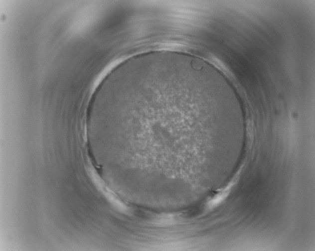 X0000055980891200508221158