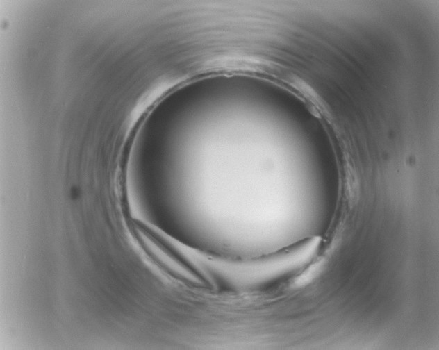 X0000055980893200508221158