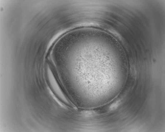 X0000055980894200508221158