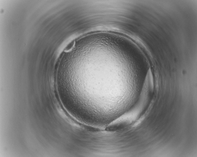 X0000055980896200508221158