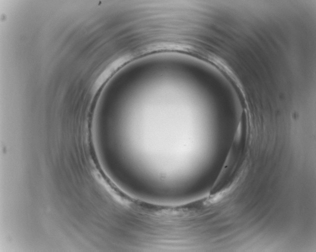 X0000055980898200508221158