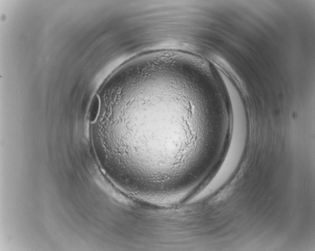 X0000055980900200508221158