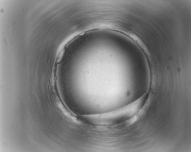 X0000055980904200508221158