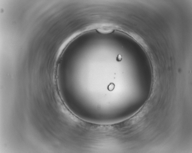 X0000055980912200508221158