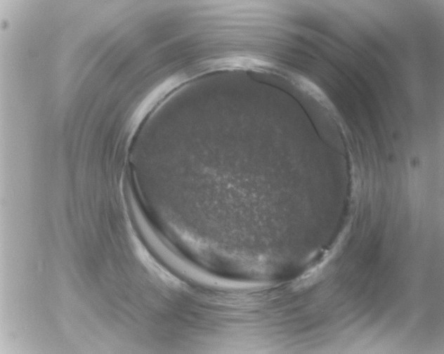 X0000055980946200508221158