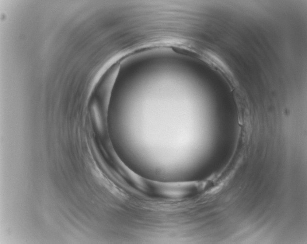 X0000055980948200508221158