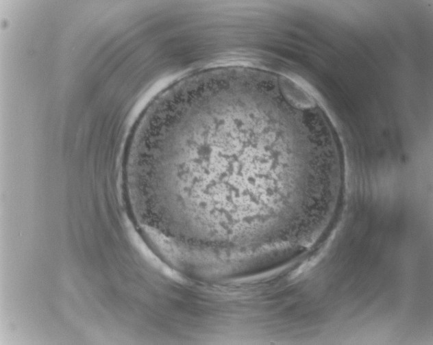 X0000055980949200508221158