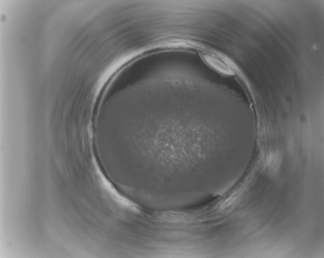 X0000055980951200508221158