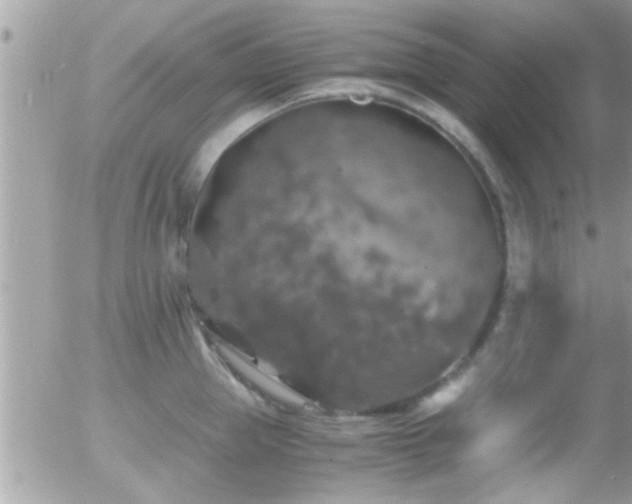 X0000055980953200508221158