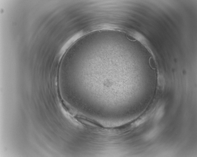 X0000055980954200508221158