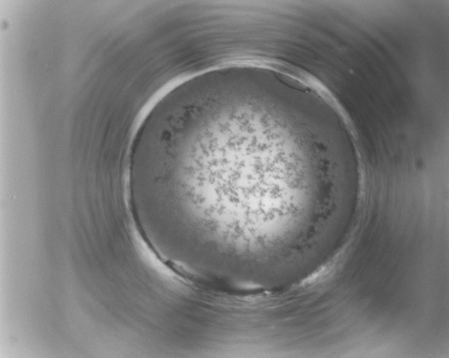 X0000055980955200508221158