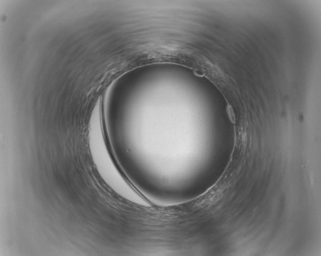 X0000055981012200508221155