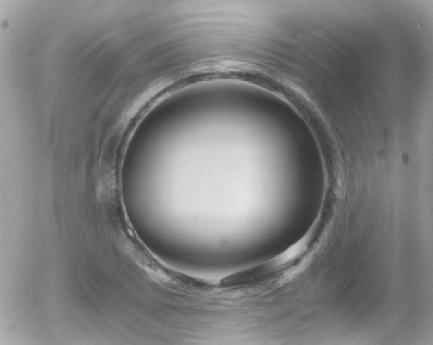 X0000055981073200508221155