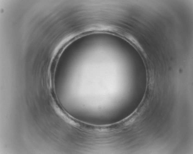 X0000055981080200508221155