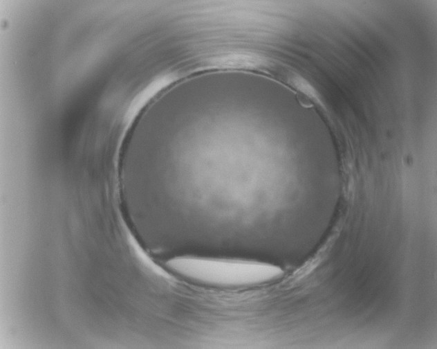 X0000055981087200508221155