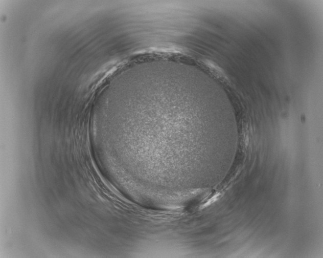 X0000055981110200508221154