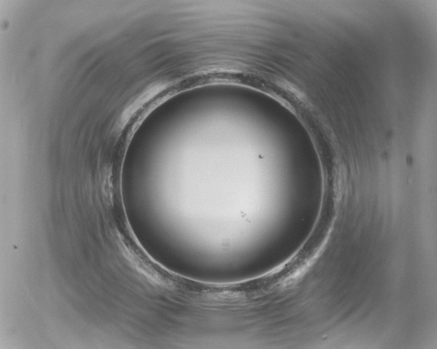 X0000055981113200508221154