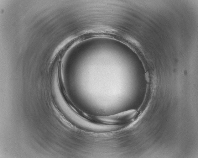 X0000055981114200508221154