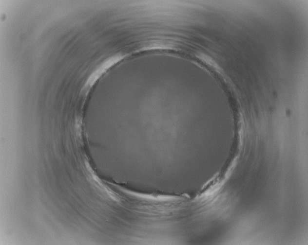 X0000055981121200508221154