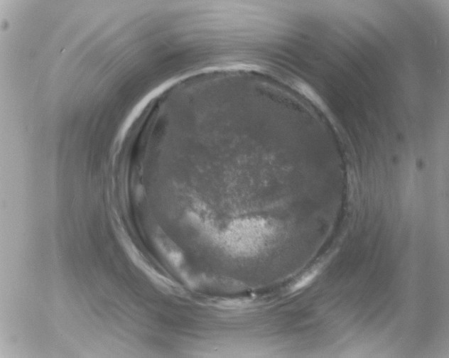 X0000055981124200508221154