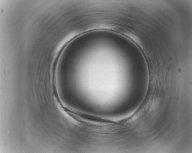 X0000055981135200508221154