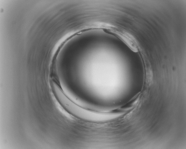 X0000055981136200508221154