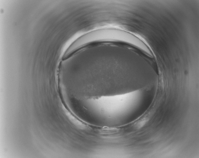 X0000055981151200508221155