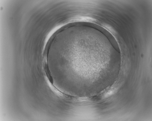 X0000055981152200508221155