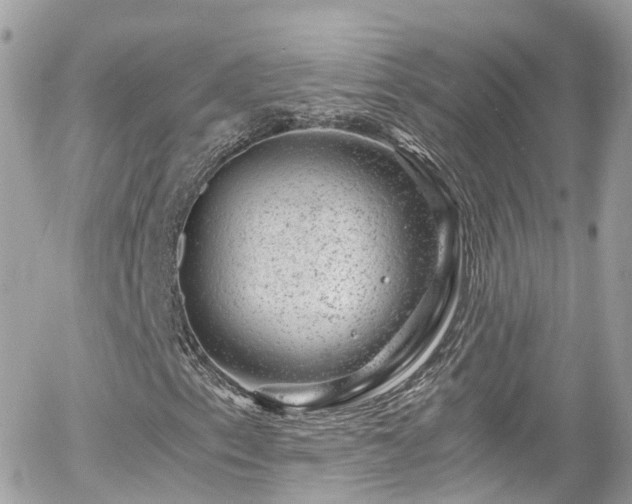 X0000055981153200508221154