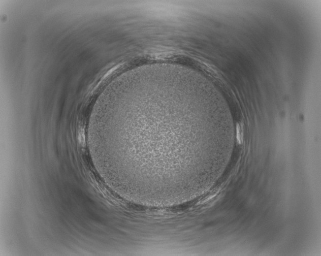 X0000055981155200508221154