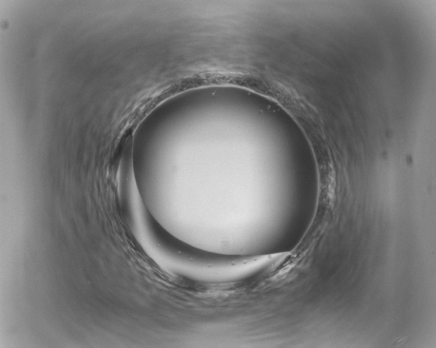 X0000055981157200508221154