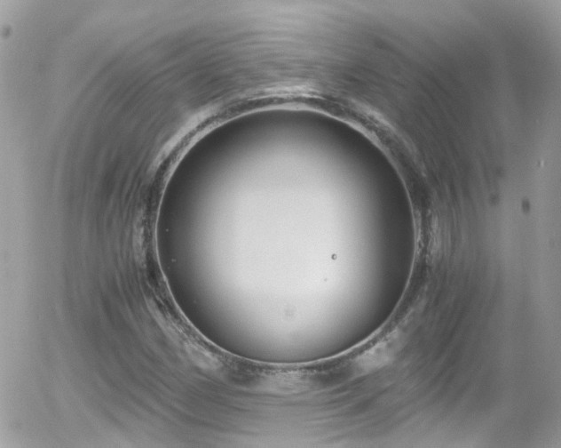 X0000055981162200508221154