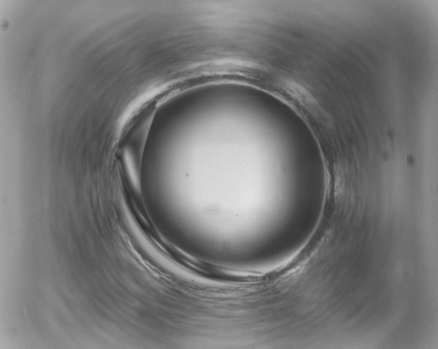 X0000055981164200508221154