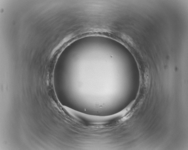 X0000055981165200508221154