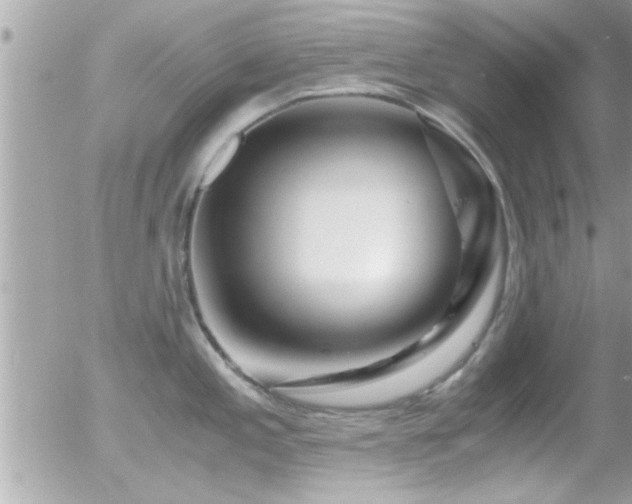 X0000055981197200508221153