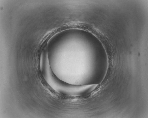 X0000055981206200508221152
