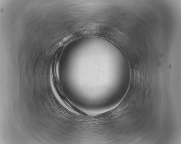 X0000055981250200508221152