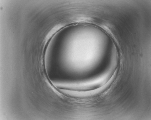 X0000055981285200508221151