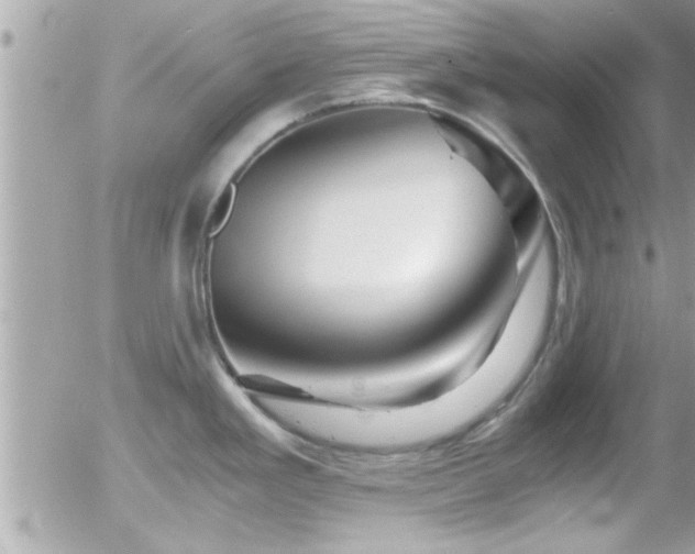 X0000055981293200508221151