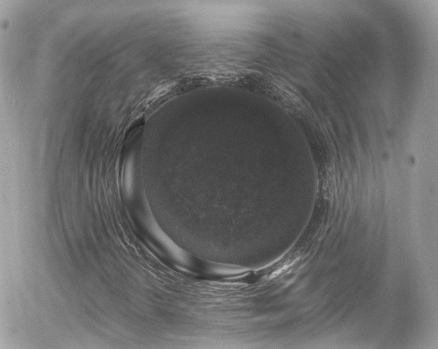 X0000055981298200508221151