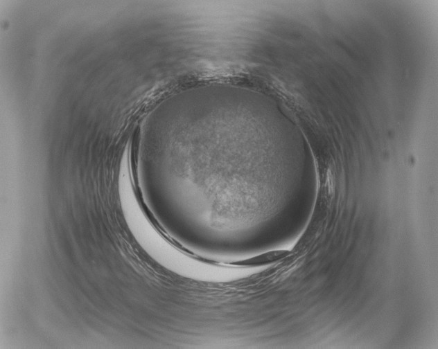 X0000055981348200508221150