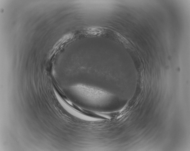 X0000055981394200508221149