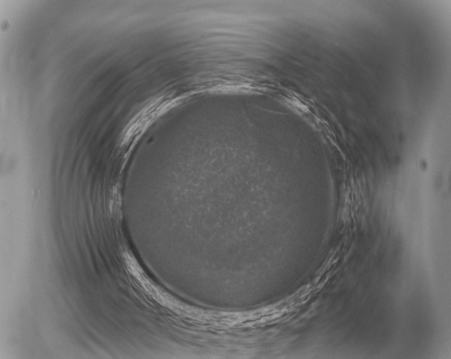 X0000055980002200508261710