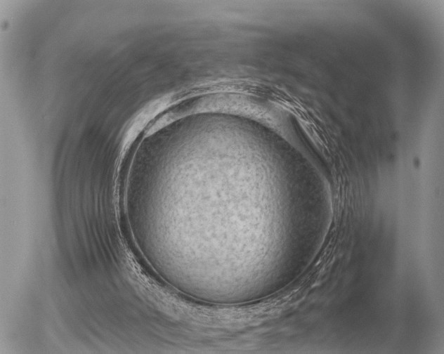 X0000055980006200508261710