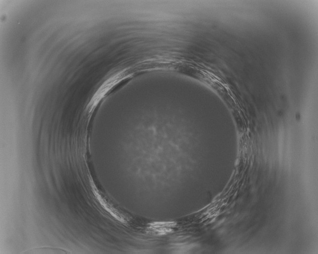 X0000055980051200508261709