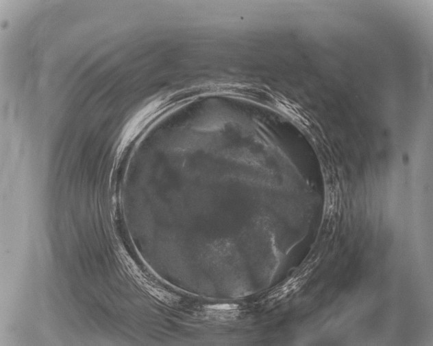 X0000055980053200508261709