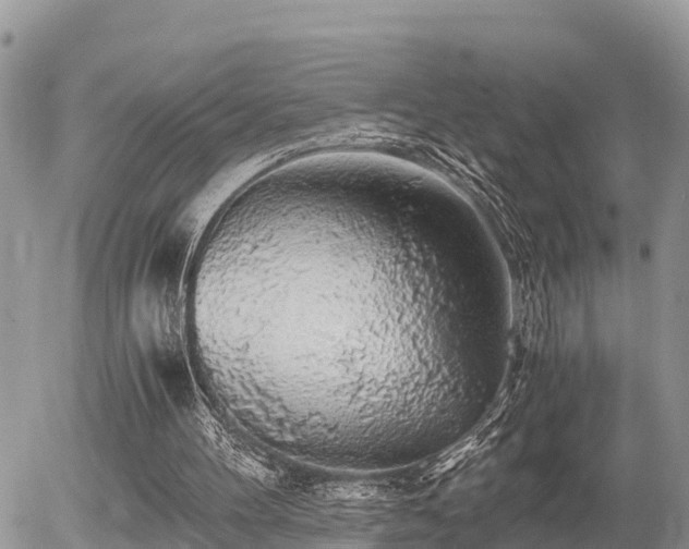 X0000055980100200508261709