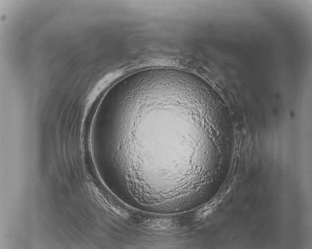 X0000055980104200508261709