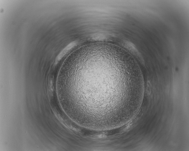 X0000055980116200508261708